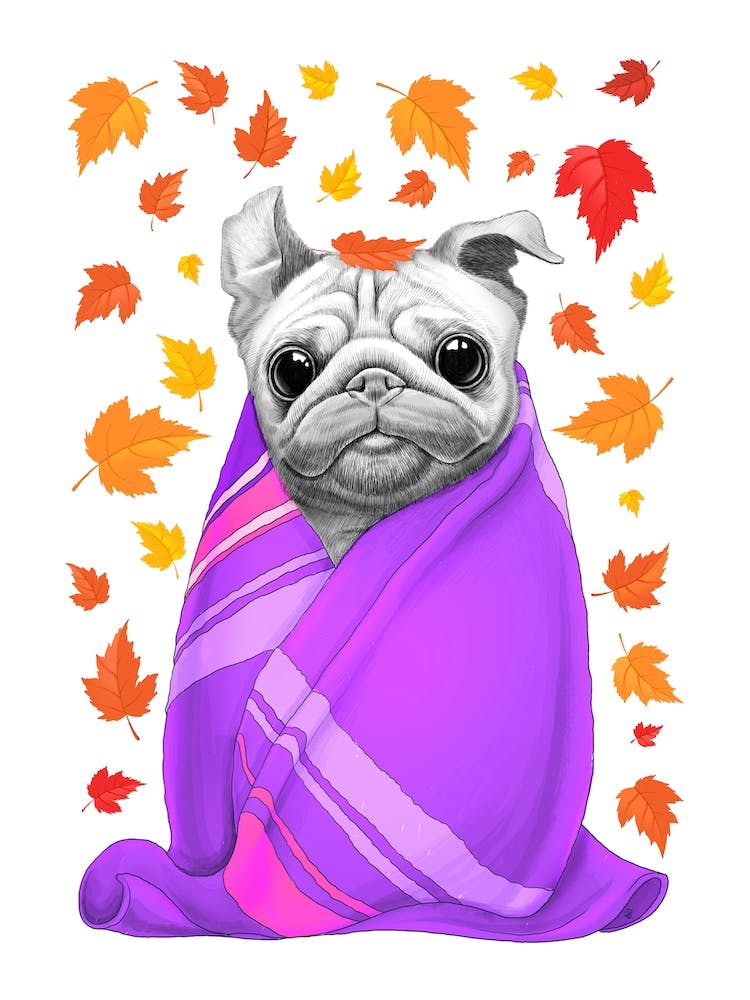 Autumn Pug