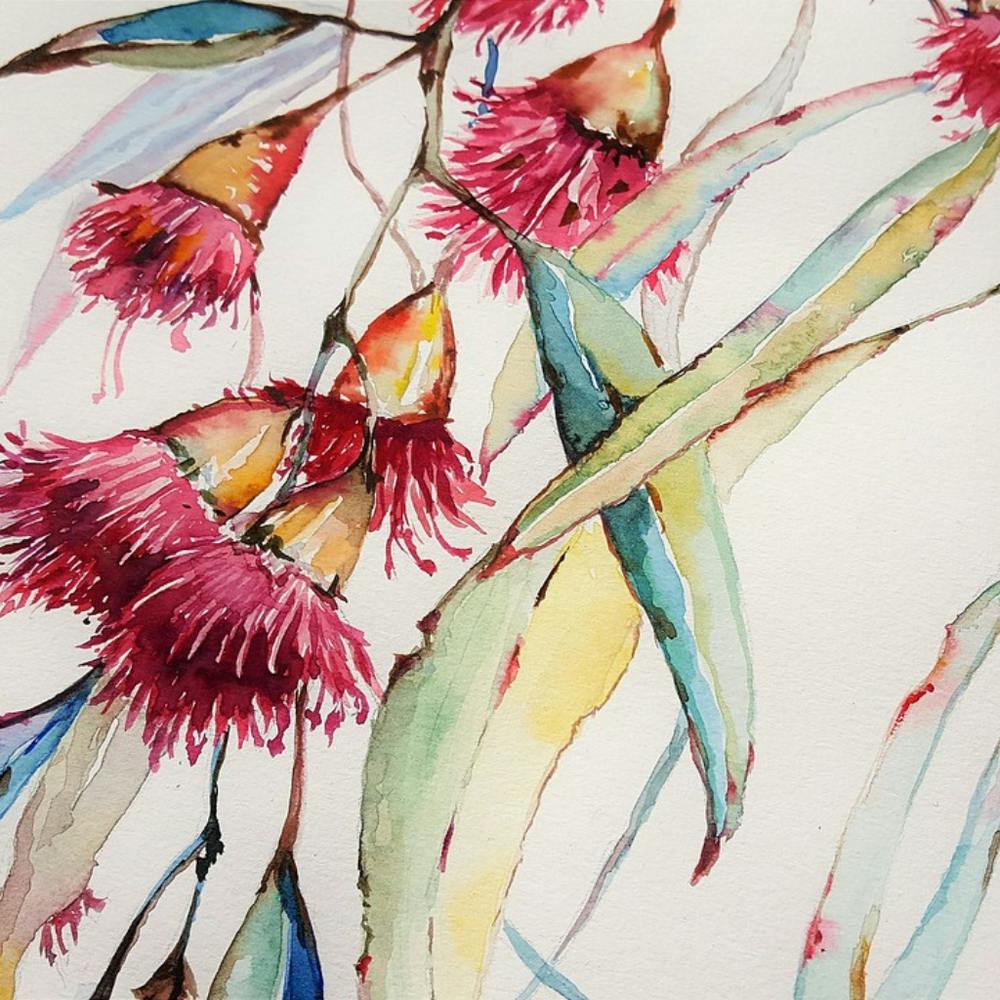 Eucalyptus 1