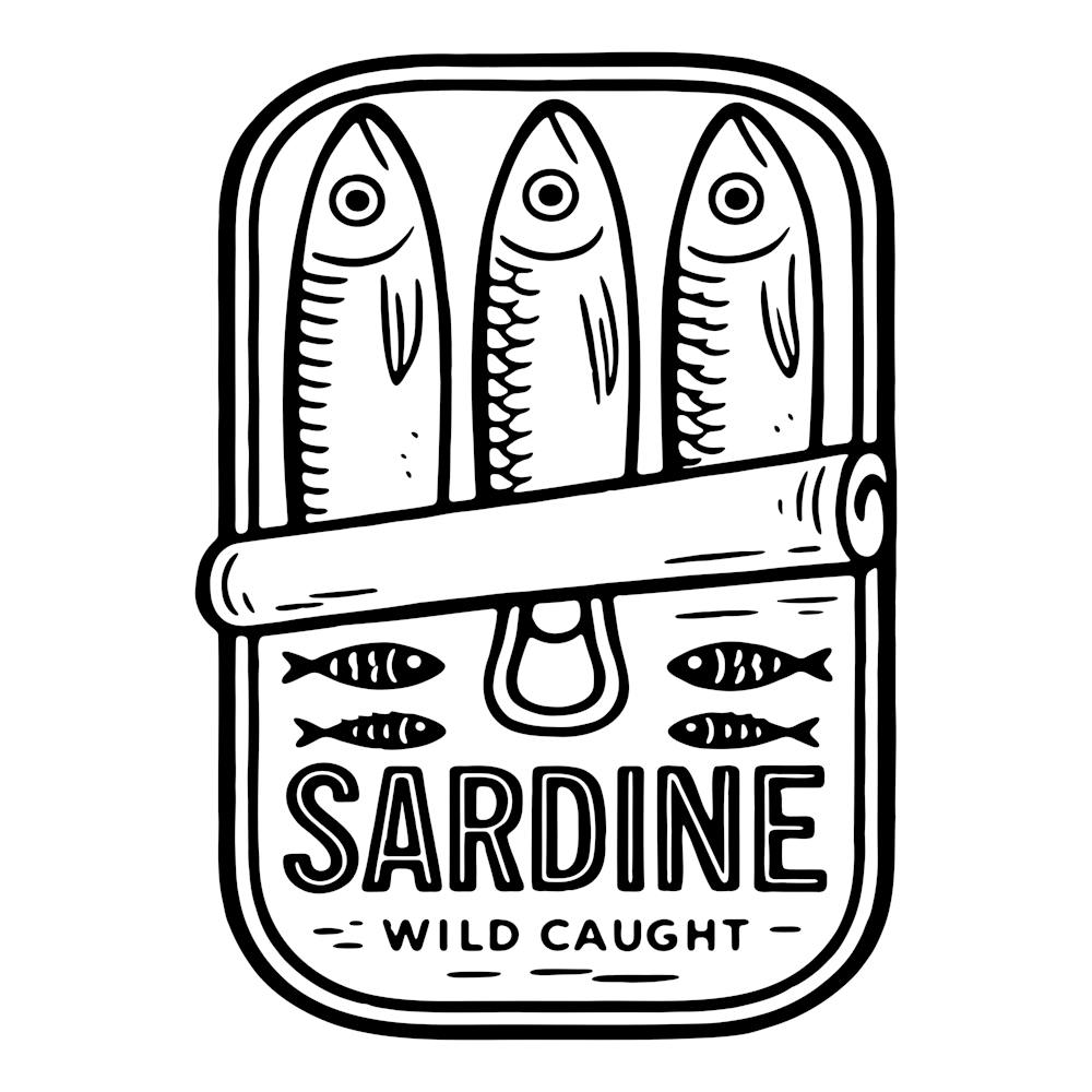 Sardine Wild Caught 4