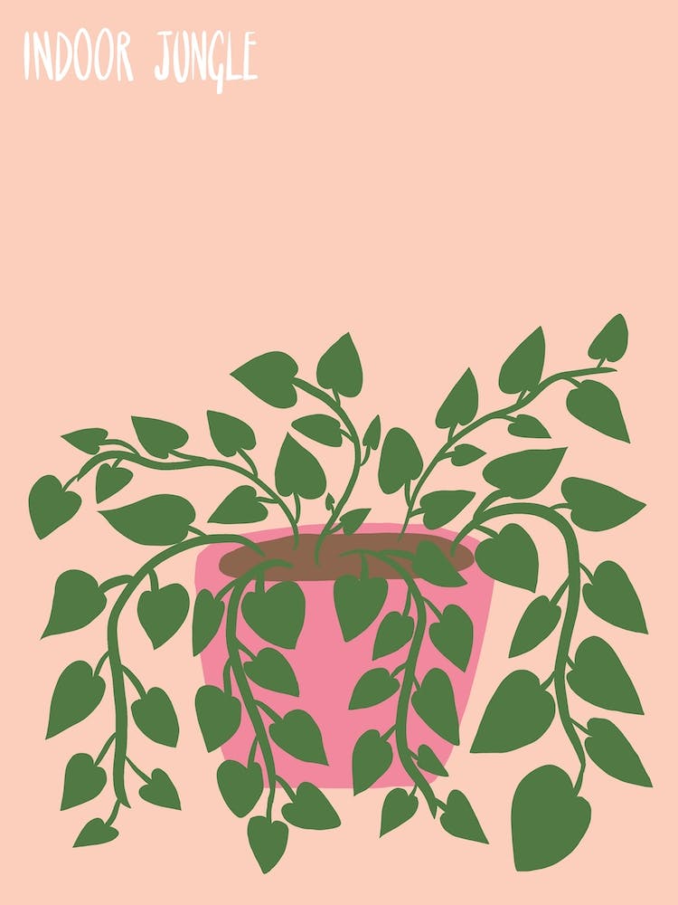 Indoor Jungle
