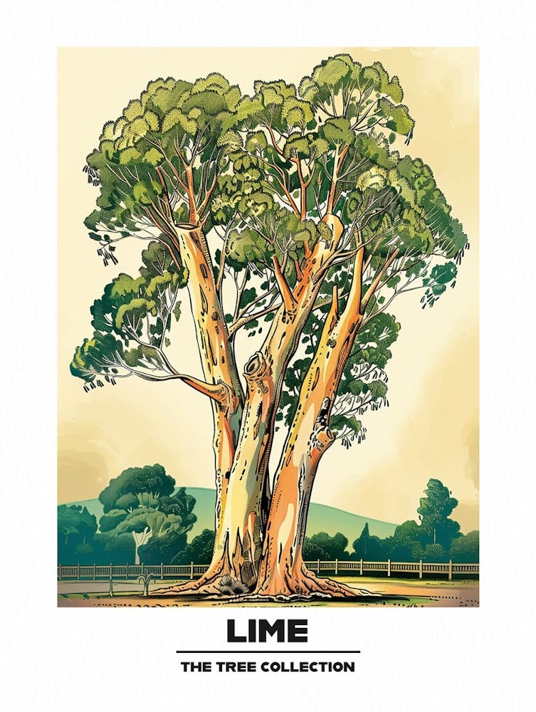 Lime Tree Storybook Illustration 1 Poster
