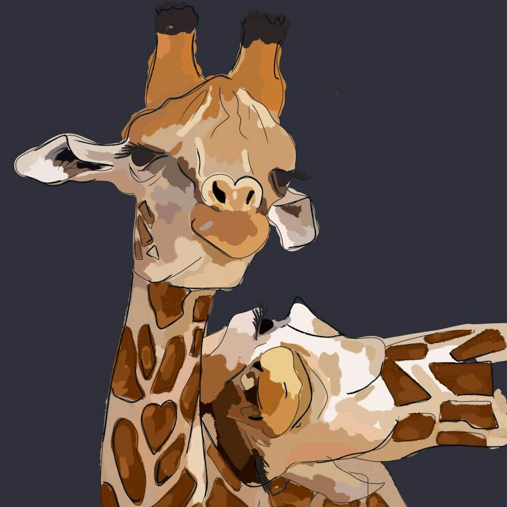 Lean on me Giraffes