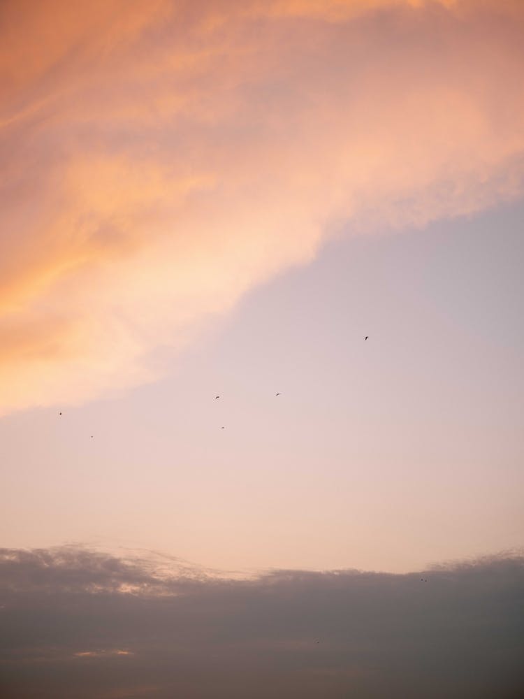 Pink And Purple Sunset