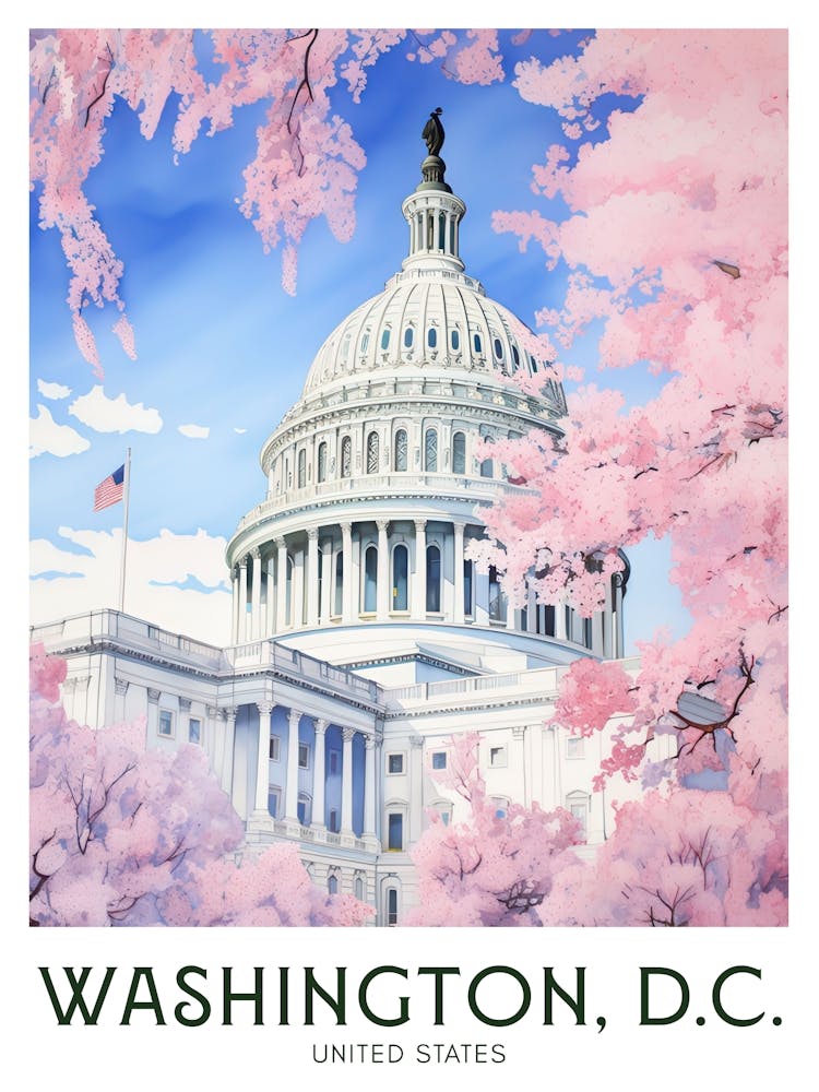 Washington Dc Cherry Blossoms