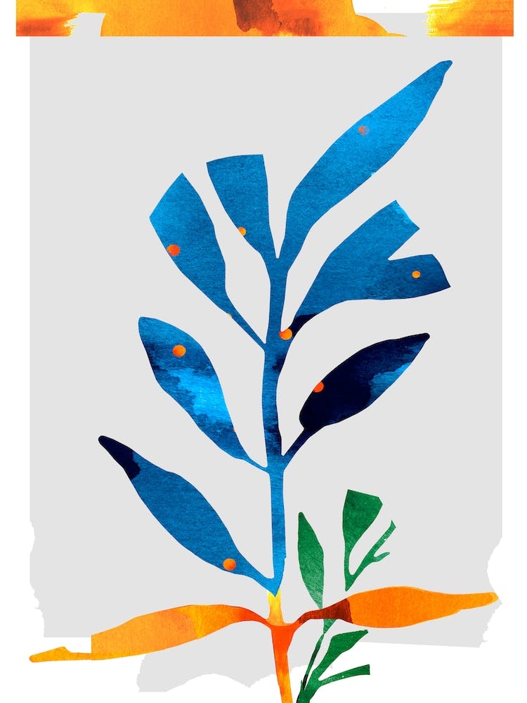 Blue And Ornage Botanicals