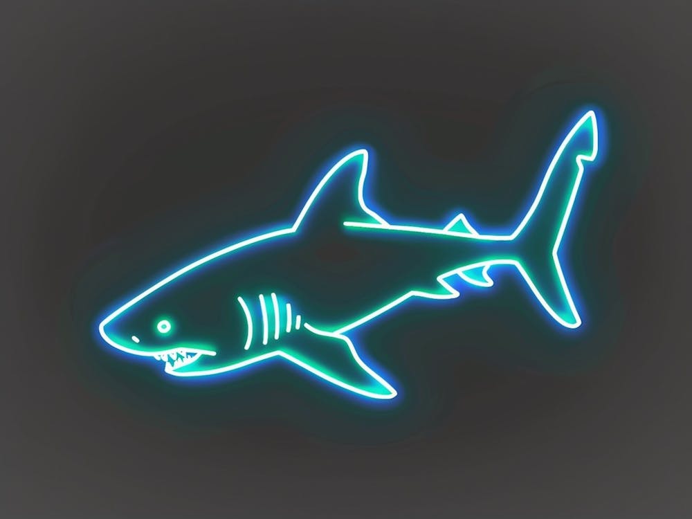 Neon Blacktip Reef Shark 2