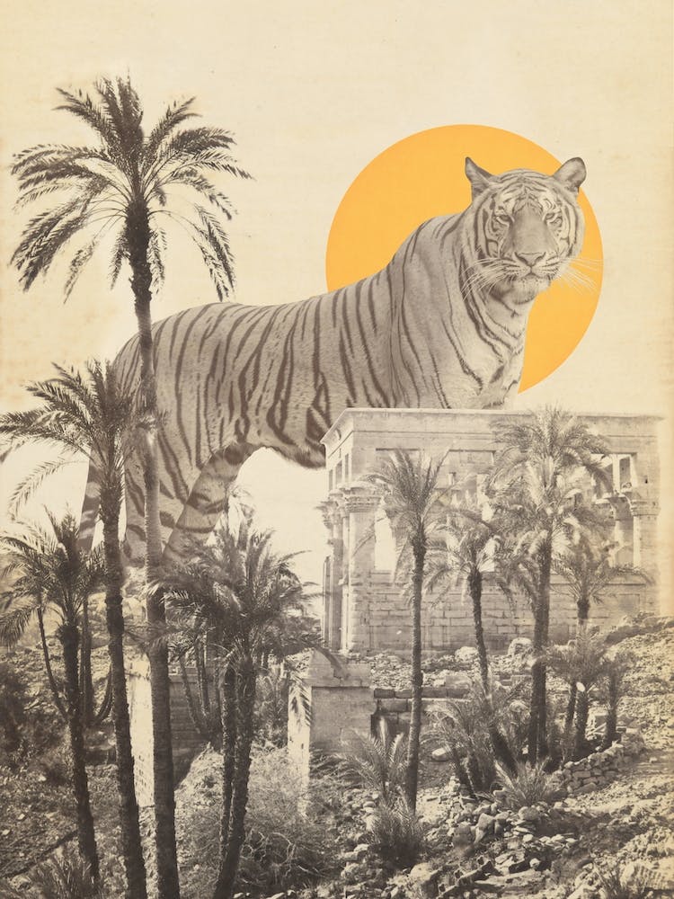 Tigre Géant dans les Ruines