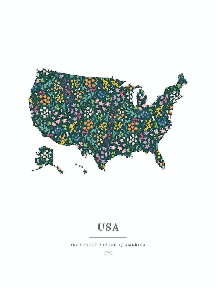 USA Map | Wildflowers on Juniper Green
