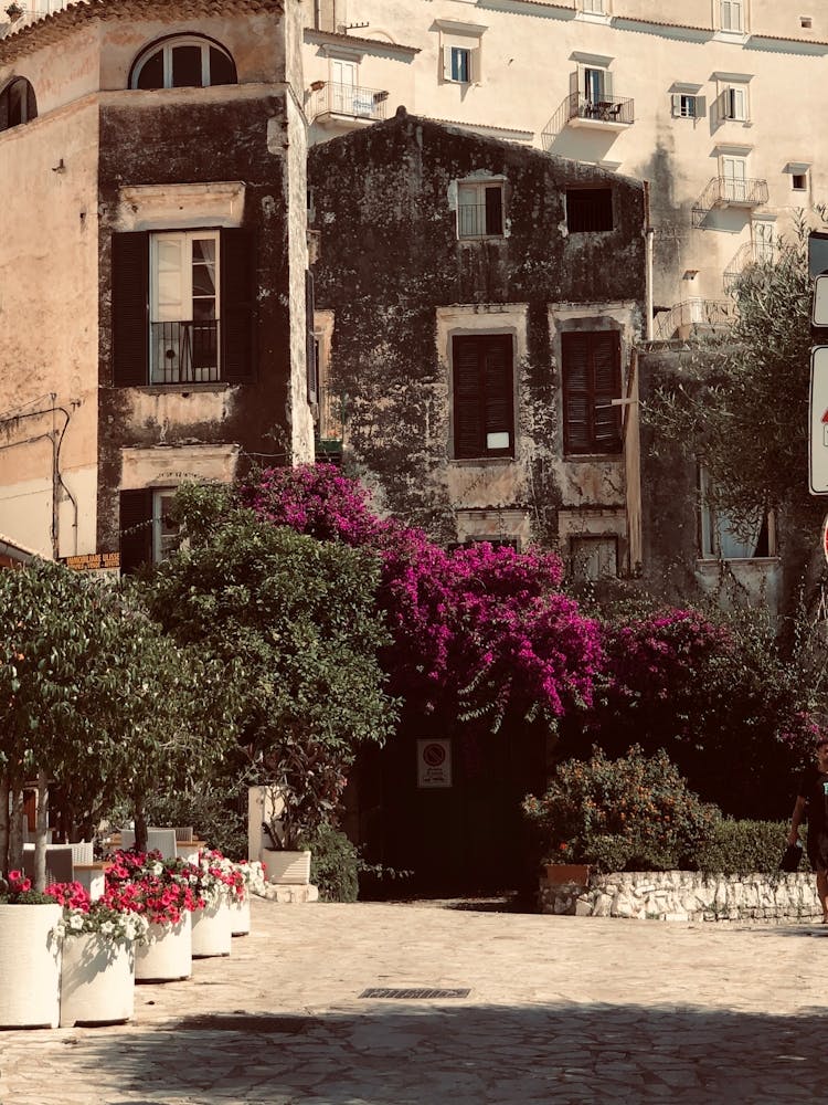 Woman Walking Down A Street