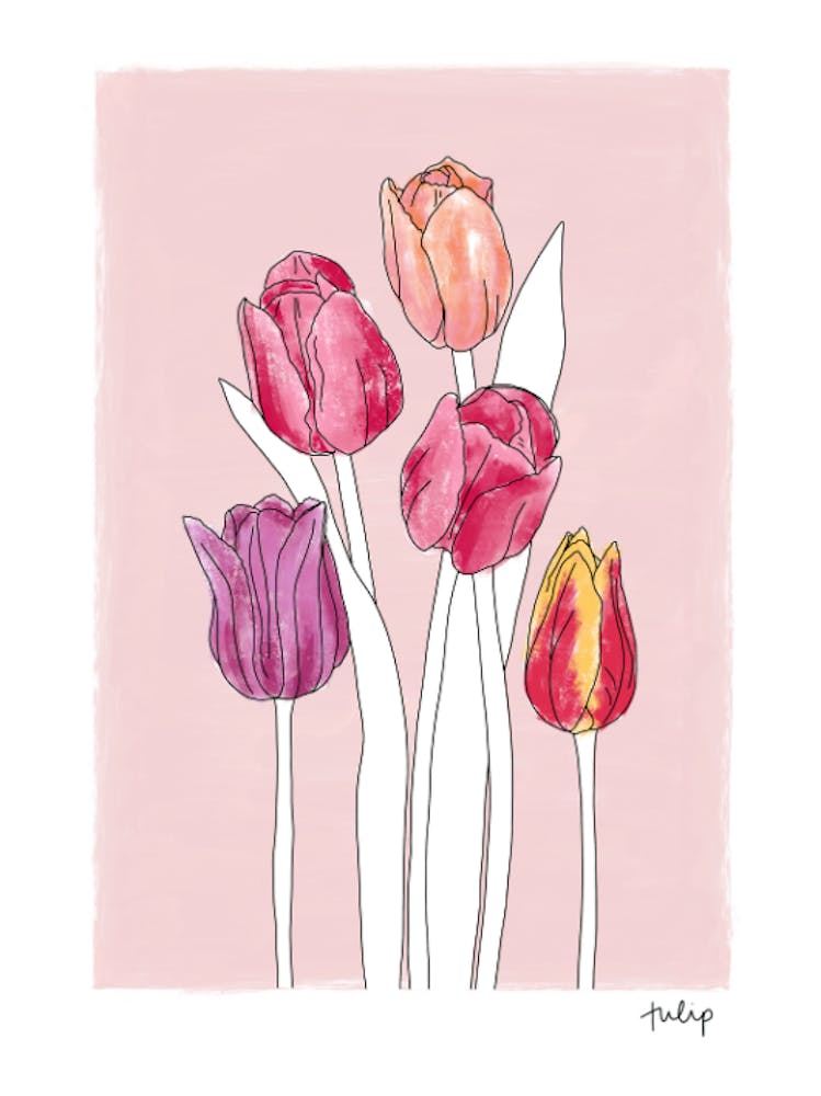 Tulips