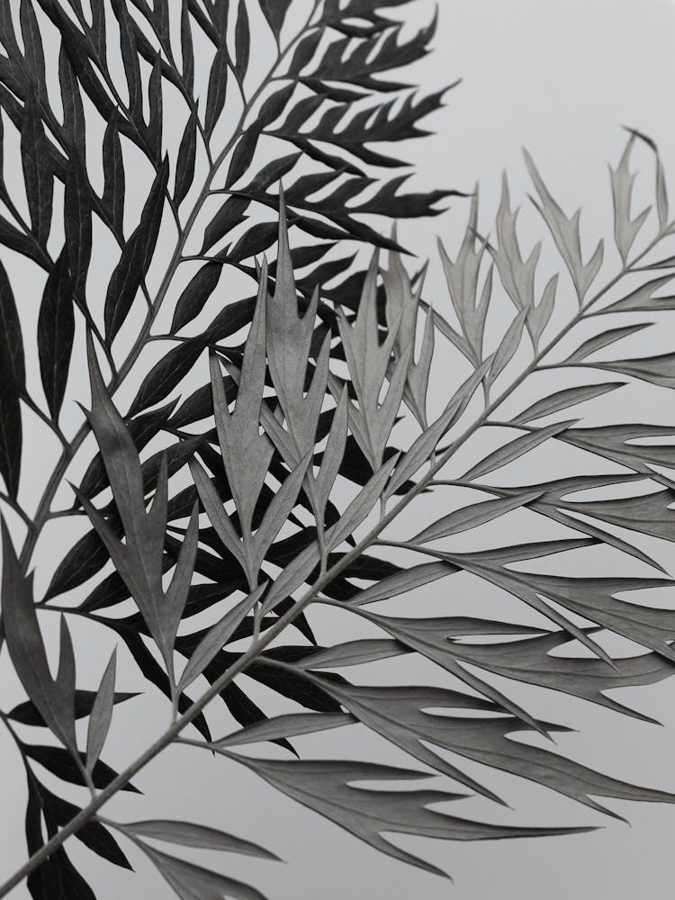 Vintage Retro Botanical Abstract Leaf