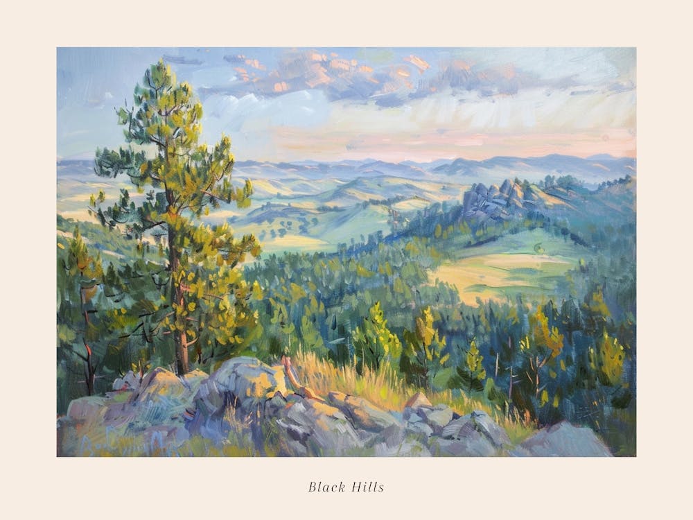 Western Landscapes Black Hills South Dakota 3 Poster