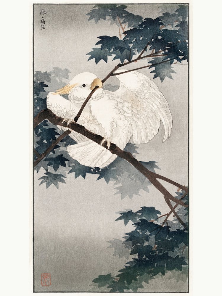 Yellow Crested Cockatoo In Tree (1900 1940), Ohara Koson