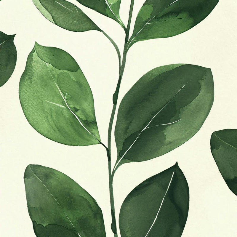 Eucalyptus 6
