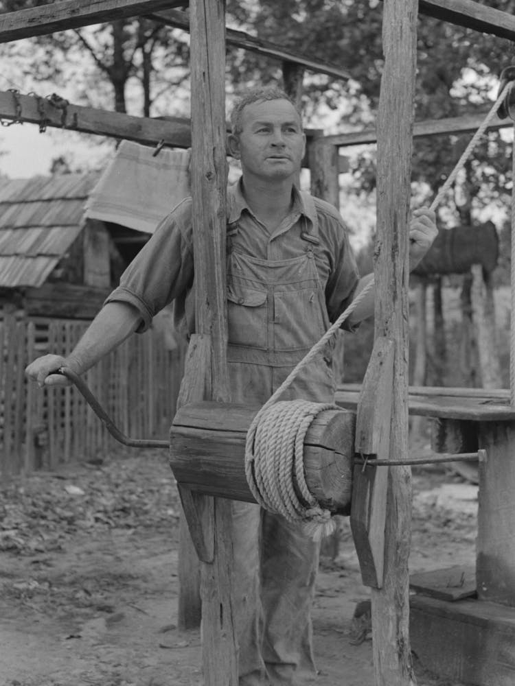 Untitled Photo, Possibly Related To Cut Over Farmer Living East Of Amite, Louisiana By Russell Lee