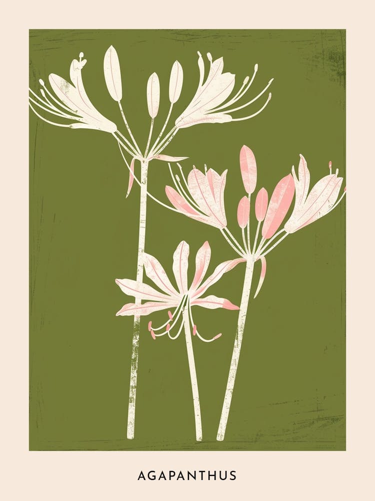 Pink & Green Agapanthus 3 Flower Poster