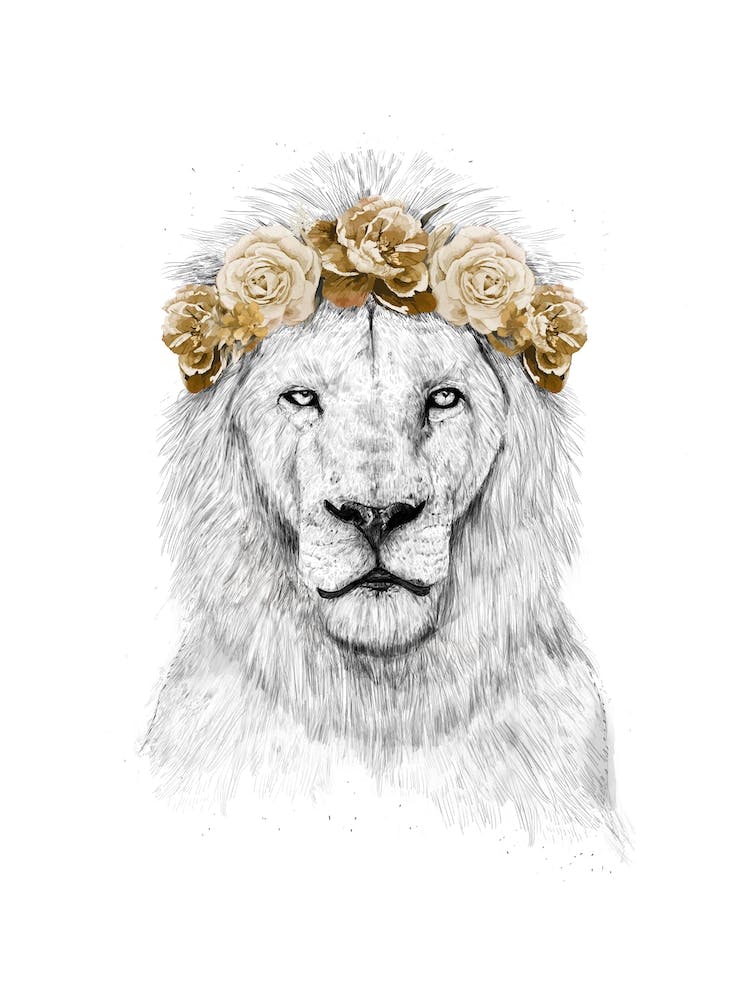 Festival lion II