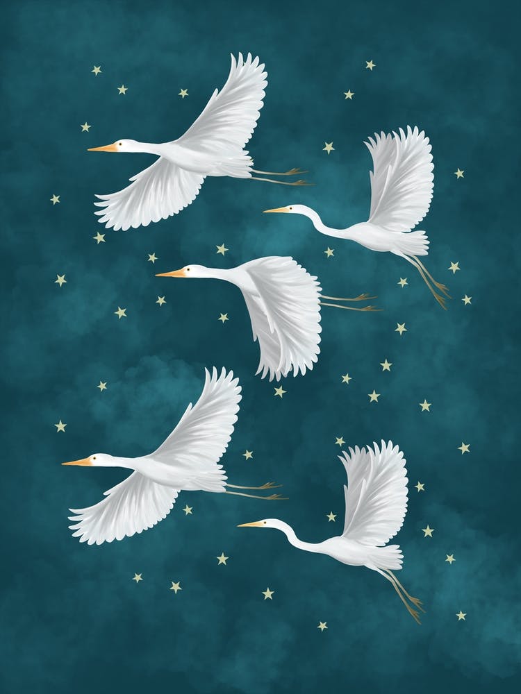 Flying Crane Birds In A Starry Sky