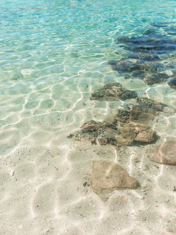 Clear Teal Water - Beach Photo Art - Croatia Travel Photography 1