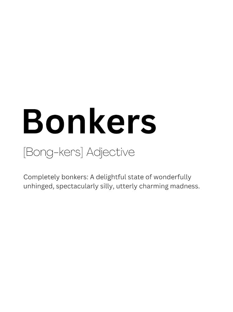Bonkers Definition Meaning