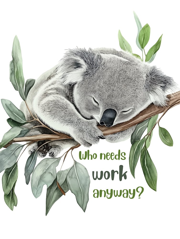 Koala, sleeping