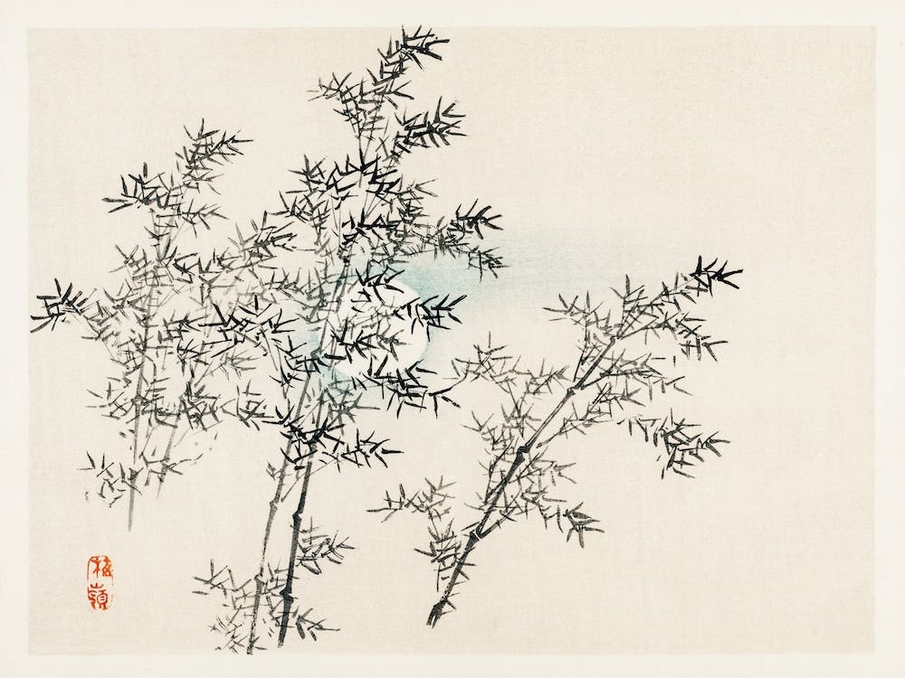 Bamboo, Kōno Bairei
