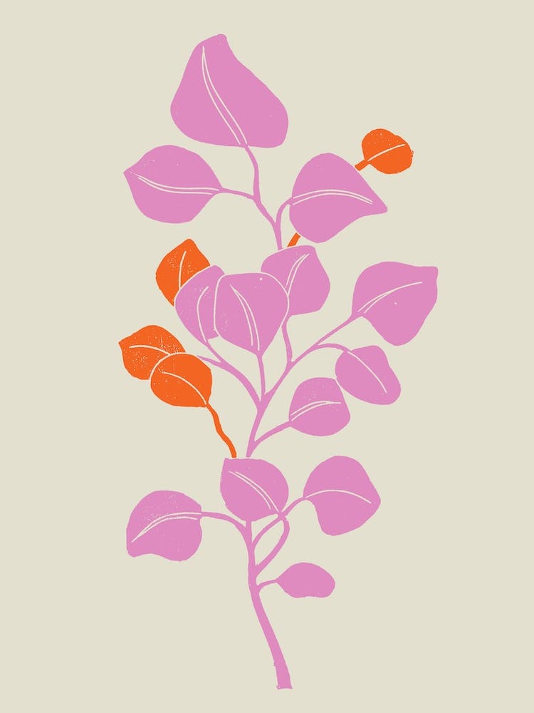 Pink And Orange Eucalyptus Leaves