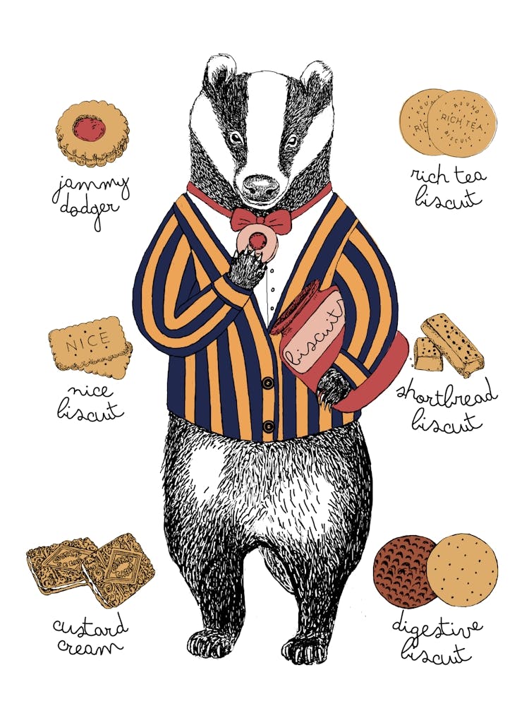 Badger Biscuits