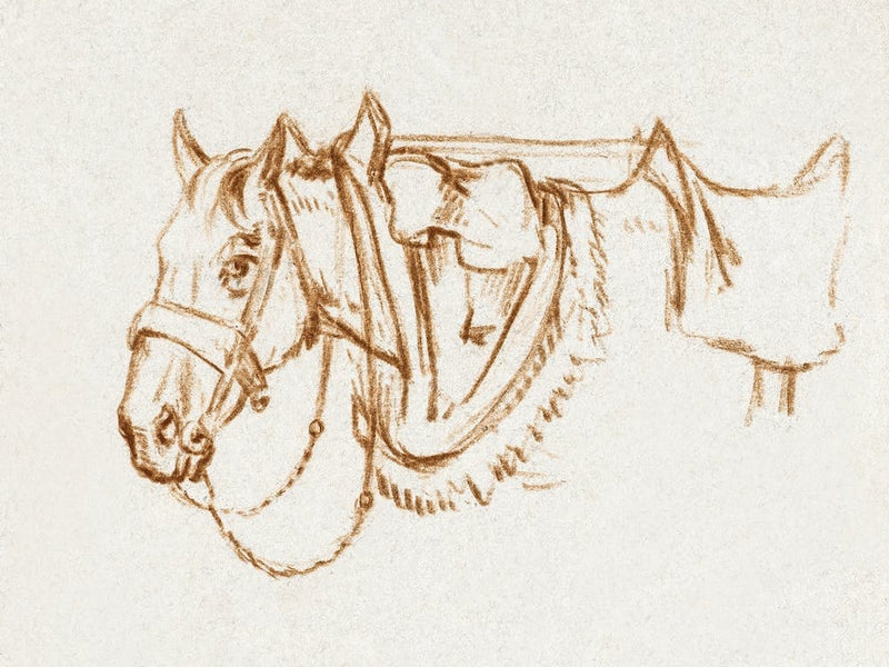 Head Of A Rigged Horse 1, Jean Bernard