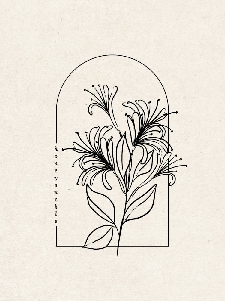 Honeysuckle Flower