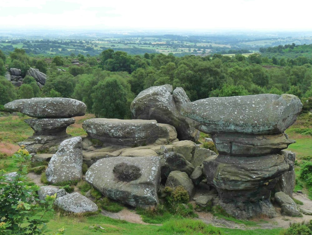 Boulders In The Woods