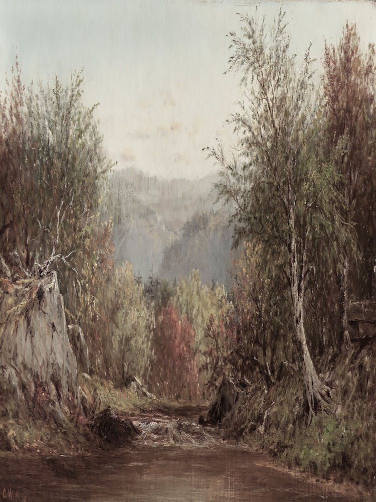 Stream In The Woods 1