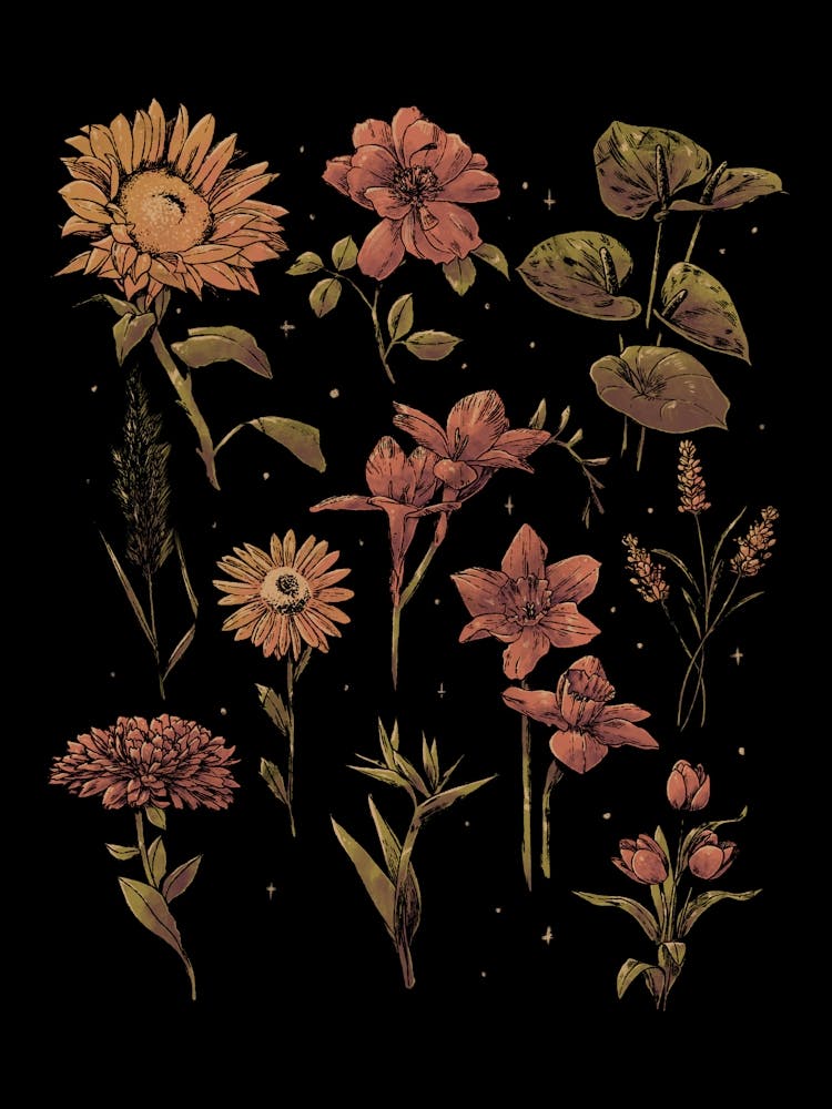 Dämmerungs-Botanica Aquarell Botanische Blumen