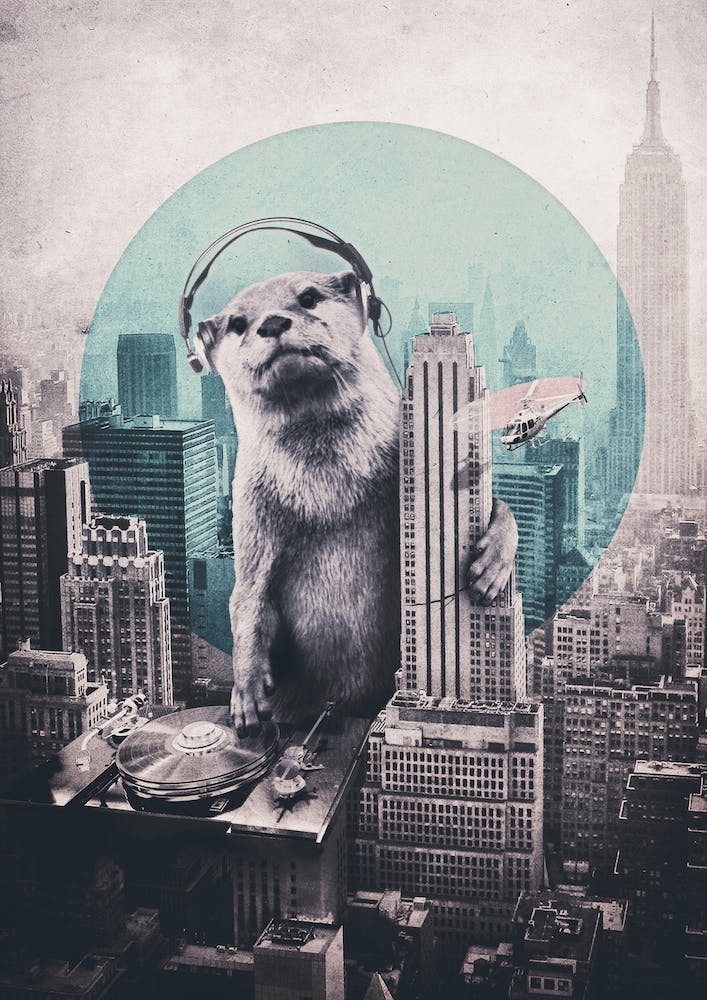DJ
