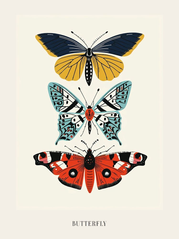 Colourful Insect Illustration Butterfly 12 Poster