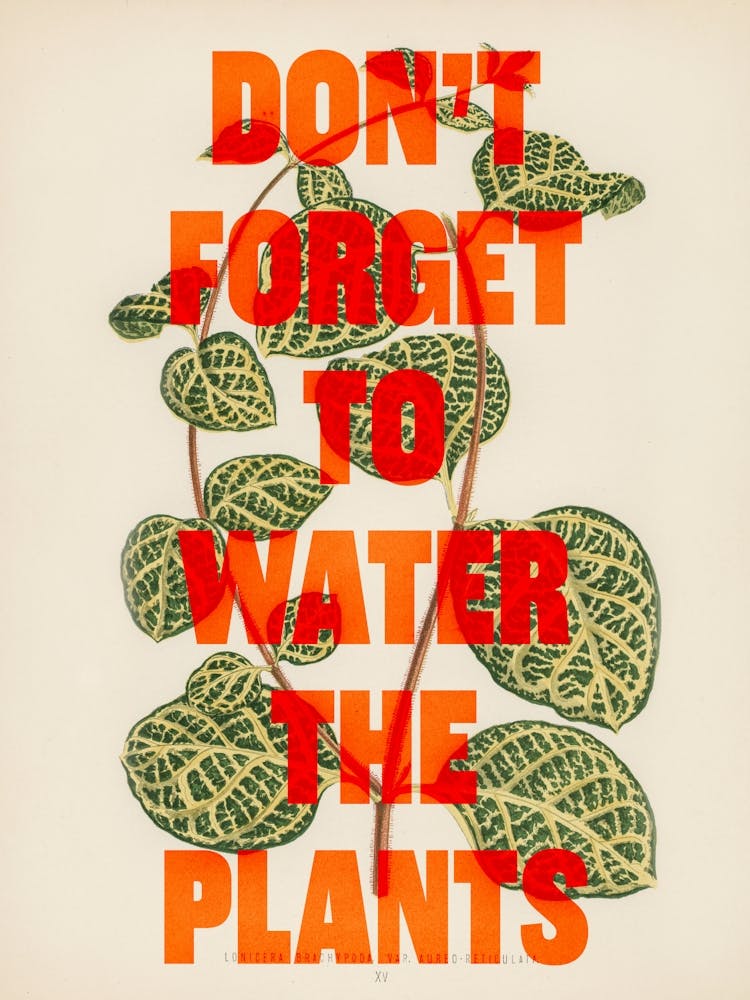 Don't Forget To Water The Plants 1