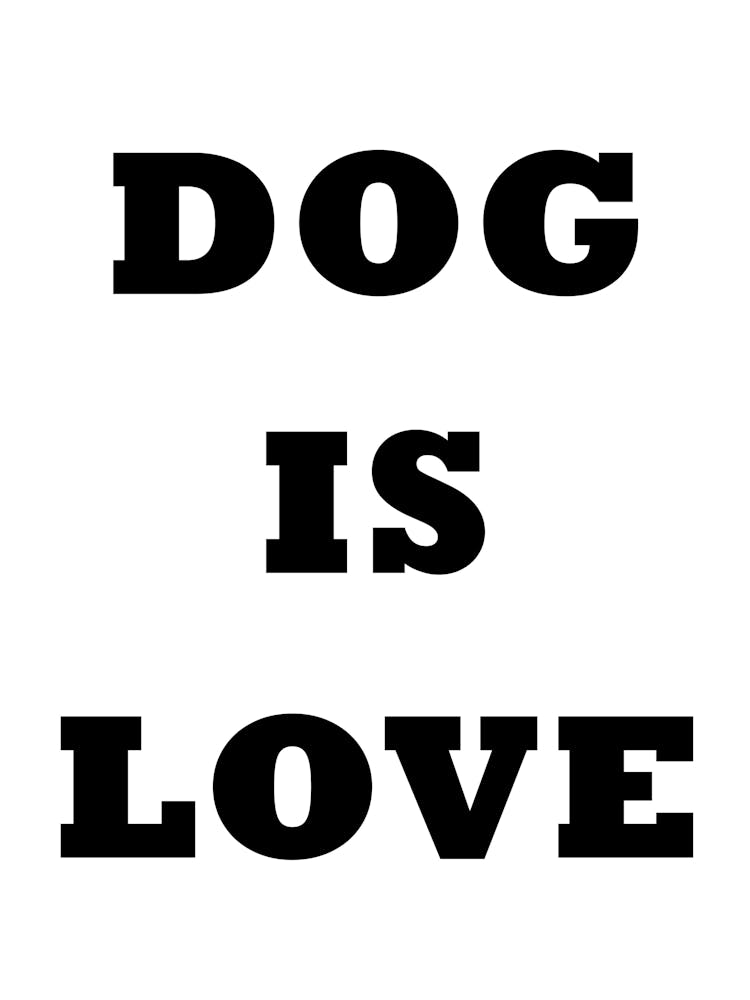 Dog Is Love