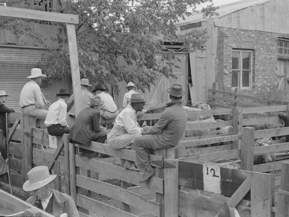 Men Sitting On Fence On Cattle Auction Yard, San Augustine, Texas By Russell Lee