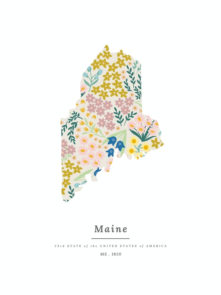 Maine | Wildflower Mix