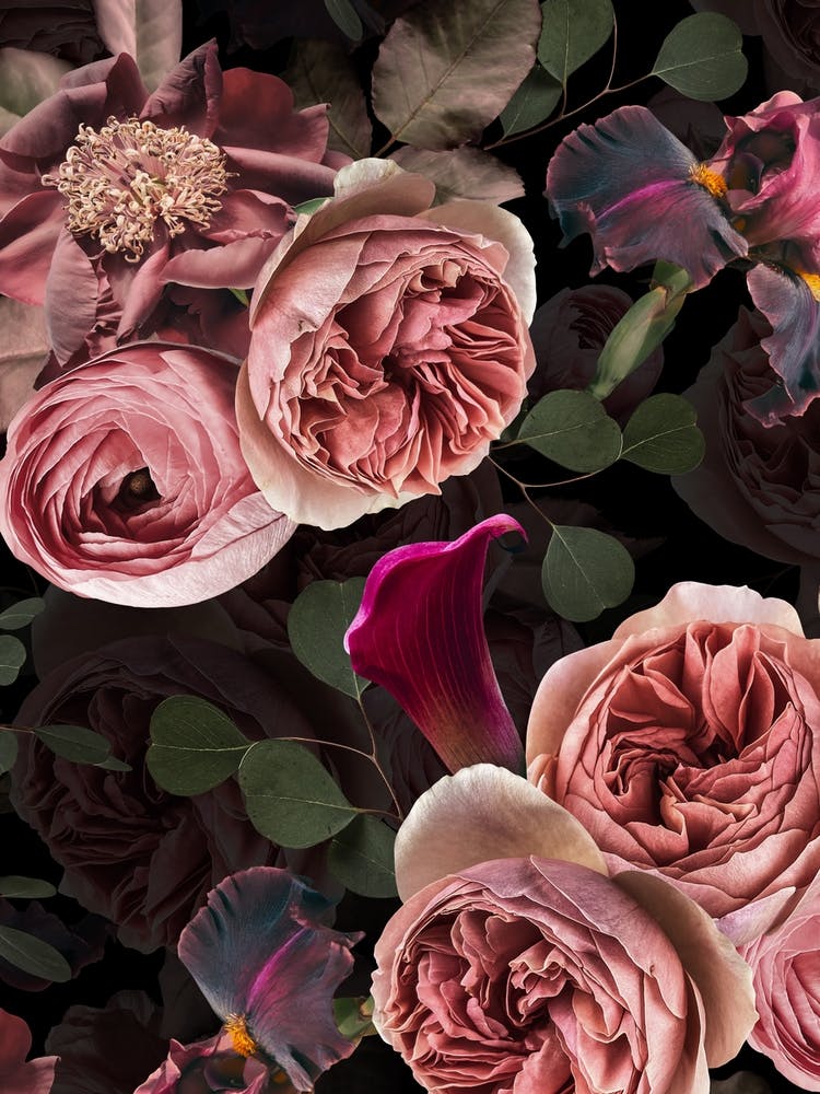 Midnight Fall Flowers Roses