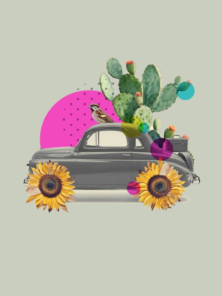 Car Collage