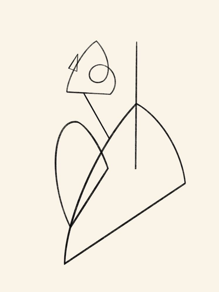 Daydream Black & White Line