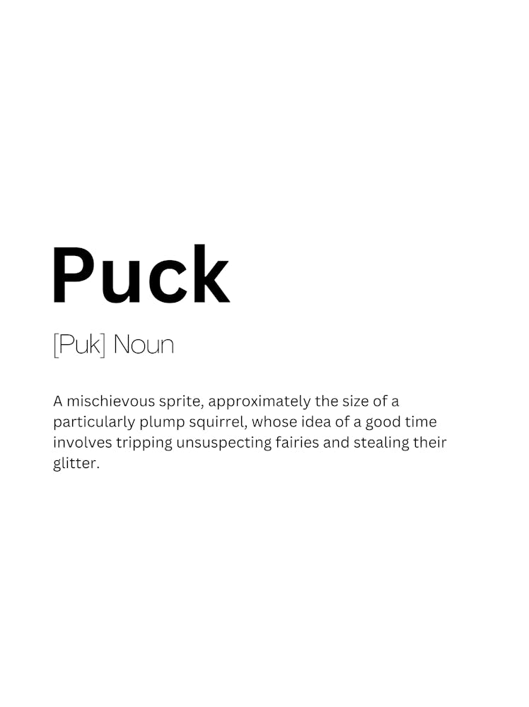 Puck Definition Meaning