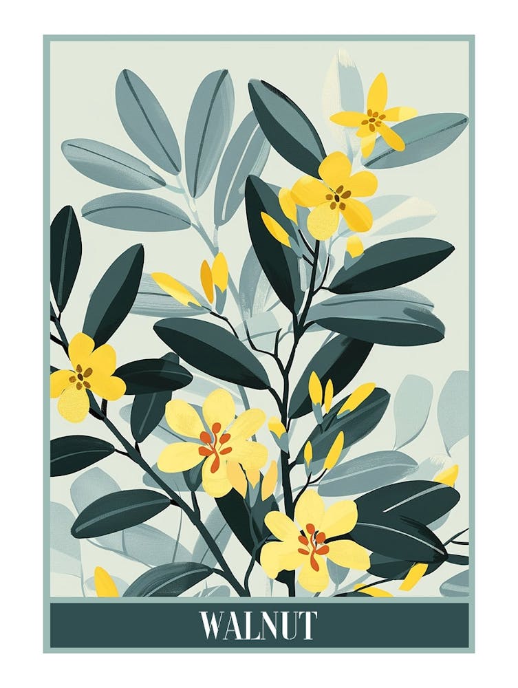 Walnut Tree Flat Illustration 2 Poster