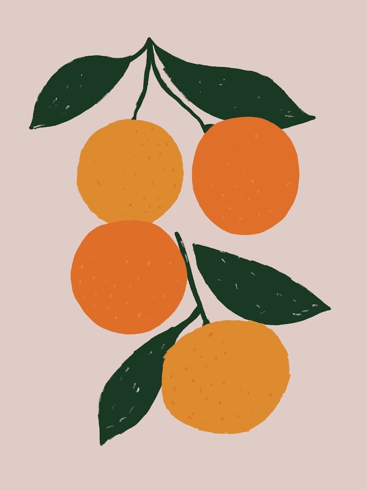 Oranges On A Branch