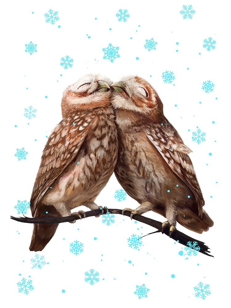 Winter Owls