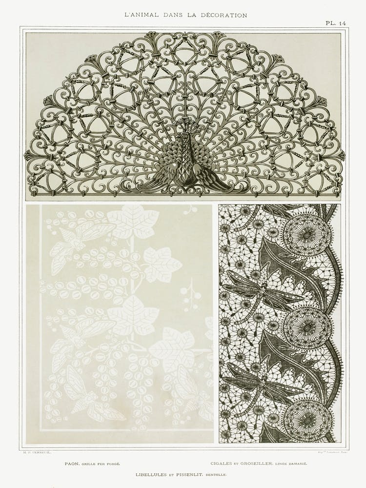 Peacock, Wrought Iron Gate; Cicadas And Gooseberry; Dragonflies And Dandelione From The Animal In The Decoration (1897), Maurice Pillard Verneuil