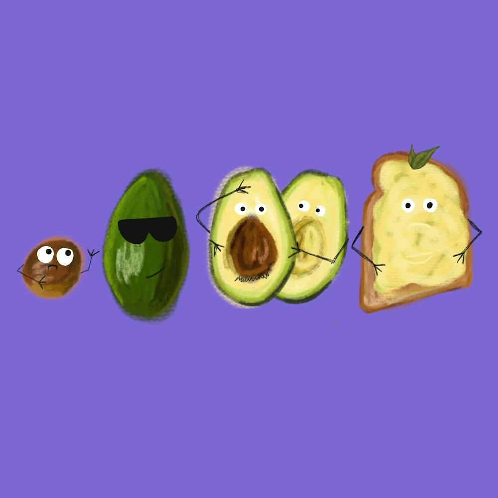 Evolution of an Avocado