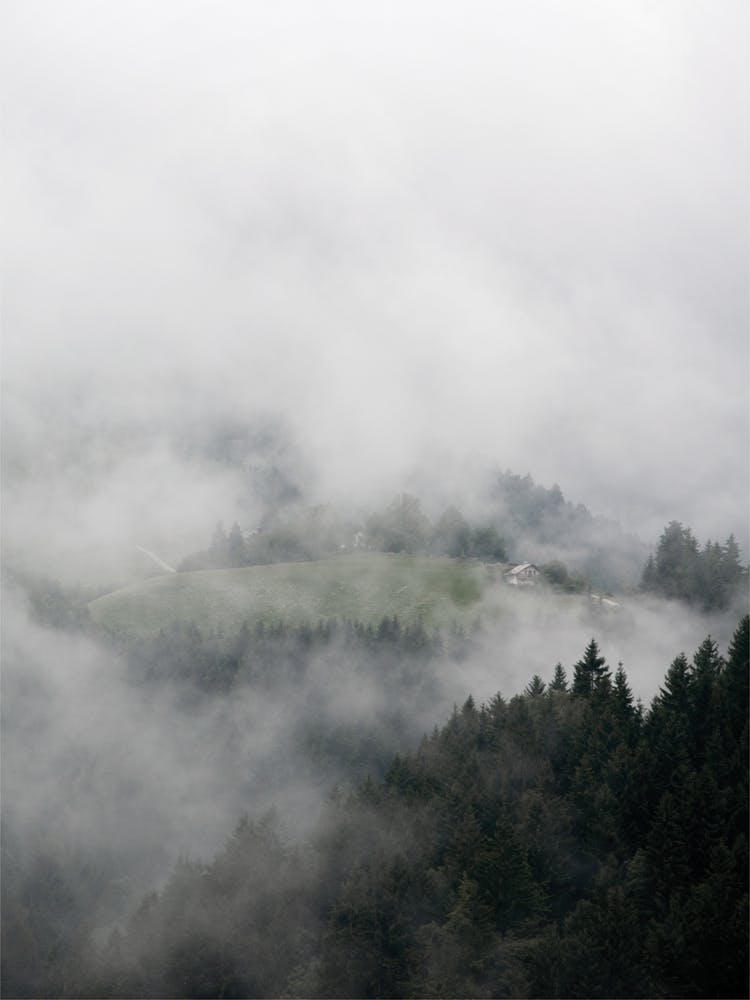 The House In The Mountains