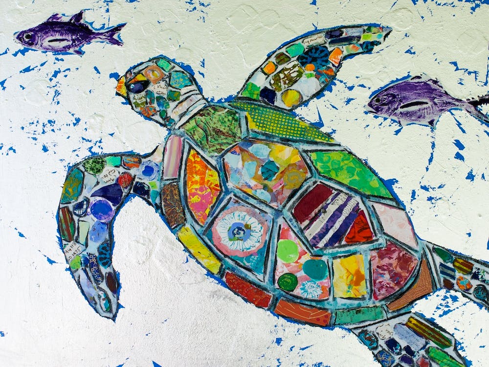 Silver Sea Turtle In The Water